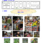 菜園だより2025年12月